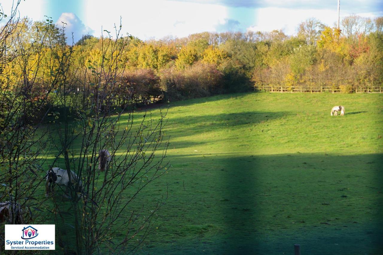 Syster Properties Serviced Accommodation Leicester 5 Bedroom House Glen View エクステリア 写真