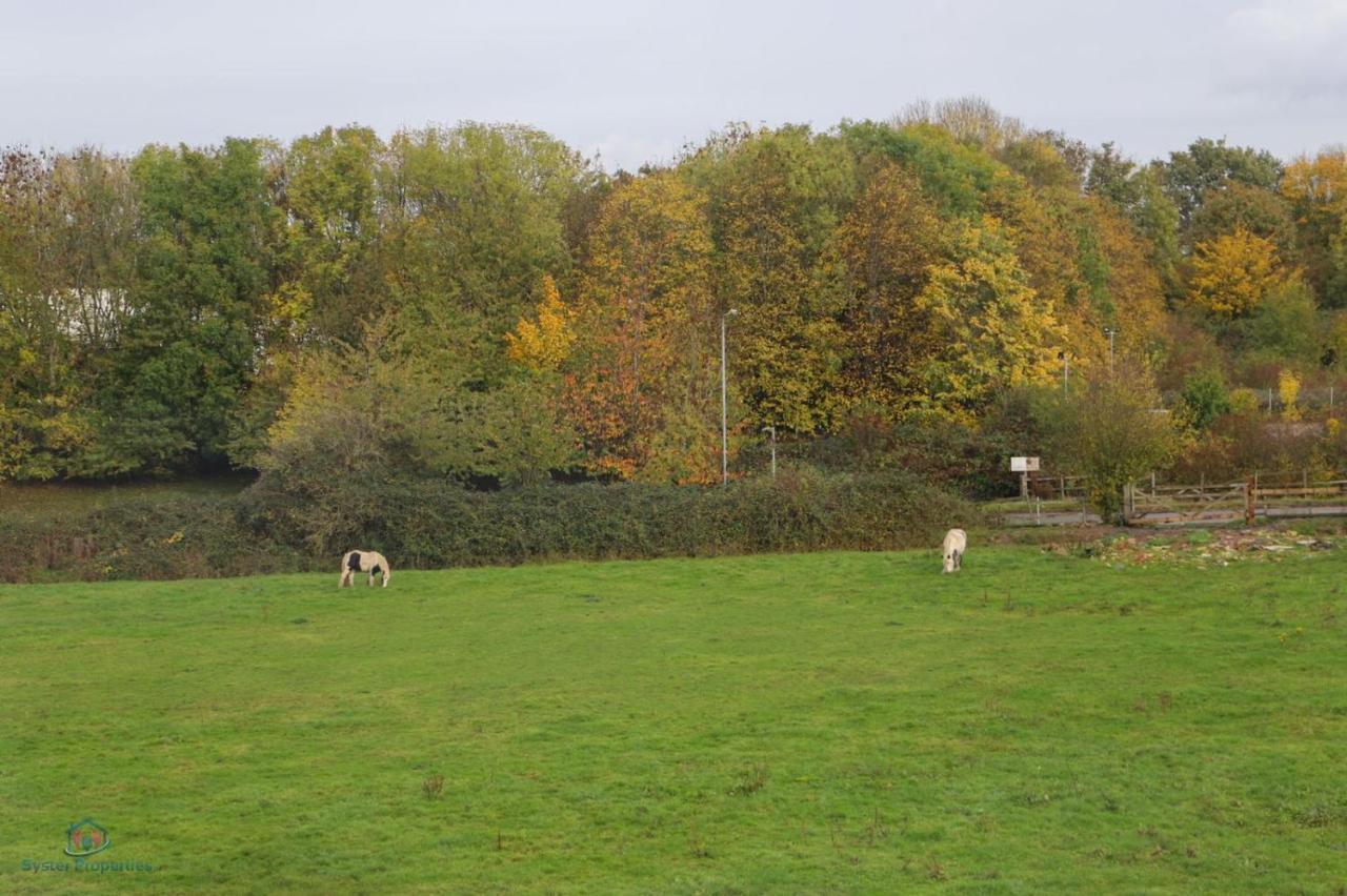 Syster Properties Serviced Accommodation Leicester 5 Bedroom House Glen View エクステリア 写真